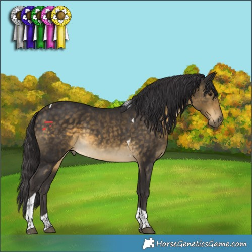 Horse Color:Buckskin Tobiano 