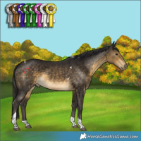 Horse Color:Buckskin Tobiano 