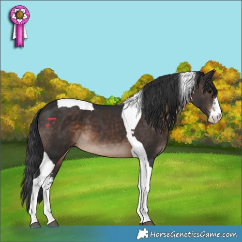 Horse Color:Brown Sabino Tobiano 