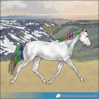 Horse Color:Painted Bay Ice Dun Splash Tobiano Frame 