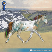 Horse Color:Painted Chocolate Buckskin Dun Tobiano 
