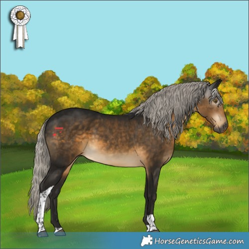 Horse Color:Gray Silver Buckskin Tobiano 