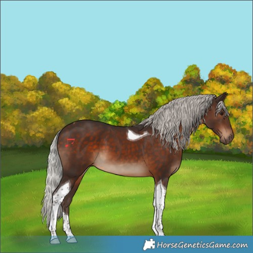 Horse Color:Silver Brown Tobiano 