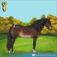 Horse Color:Brown Tobiano 