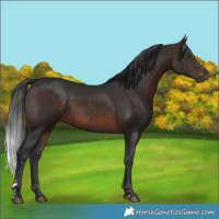 Horse Color:Brown 