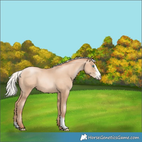 Horse Color:Silver Sable Champagne Pearl Sabino Rabicano 