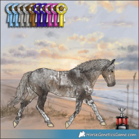 Horse Color:Silver Black Tobiano  and White Spotted Silver Smoky Black Tobiano 