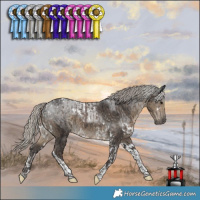 Horse Color:Silver Black Tobiano  and White Spotted Silver Smoky Black Tobiano 