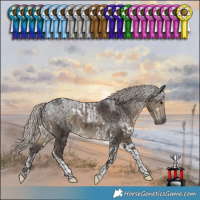 Horse Color:Silver Black Tobiano  and White Spotted Silver Smoky Black Tobiano 