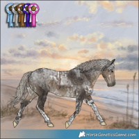 Horse Color:Silver Black Tobiano  and White Spotted Silver Smoky Black Tobiano