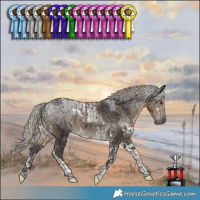 Horse Color:Silver Black Tobiano  and White Spotted Silver Smoky Black Tobiano 