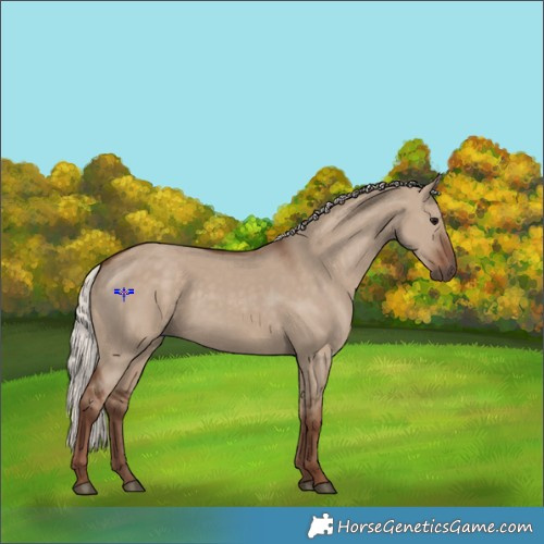 Horse Color:Silver Grullo 