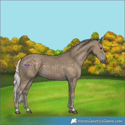 Horse Color:Silver Smoky Black 