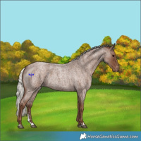 Horse Color:Silver Blue Roan Varnish 