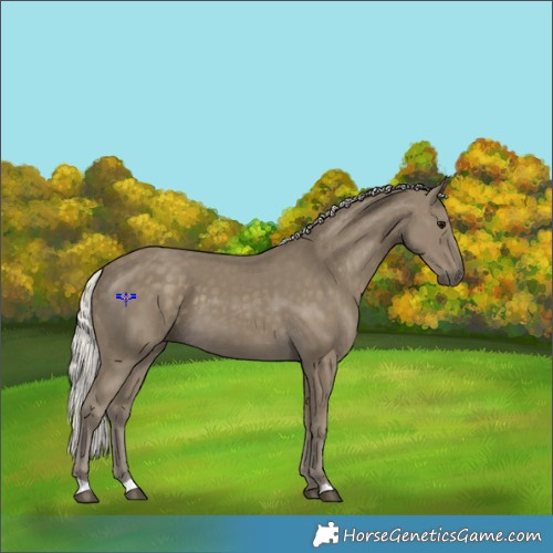 Horse Color:Silver Smoky Black 