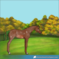 Horse Color:Painted Chestnut 
