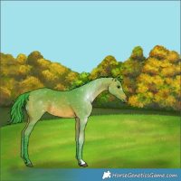 Horse Color:Watercolor Bay 
