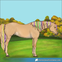 Horse Color:Painted Palomino Dun 