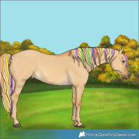 Horse Color:Painted Palomino Dun 