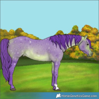 Horse Color:Watercolor Buckskin 