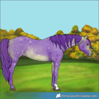 Horse Color:Watercolor Buckskin