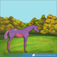Horse Color:Watercolor Chestnut Rabicano 