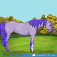 Horse Color:Watercolor Grullo Sabino Rabicano 