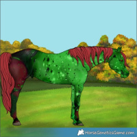 Horse Color:ERROR: UNKNOWN ANOMALY