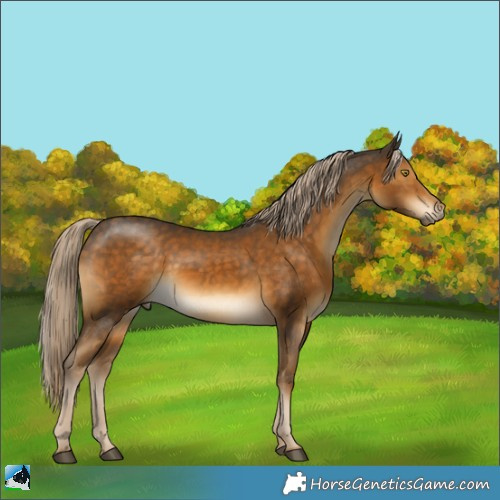 Horse Color:Chocolate Palomino Mushroom Rabicano 