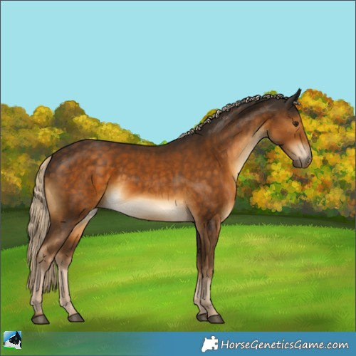 Horse Color:Chocolate Palomino Rabicano 