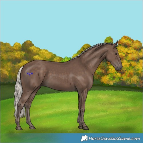 Horse Color:Silver Black 