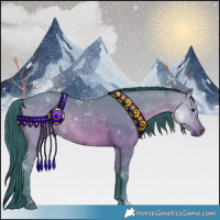 Horse Color:Watercolor Bay 