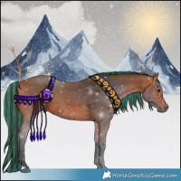 Horse Color:Painted Bay 