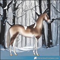 Horse Color:Liver Red Onyx Mushroom Tobiano 
