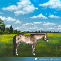 Horse Color:Liver Red Dun Onyx Brindle