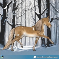 Horse Color:White Spotted Chocolate Palomino Dun Mushroom Rabicano