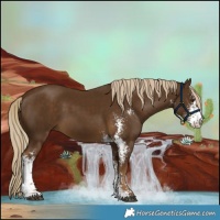 Horse Color:Chocolate Palomino Sabino