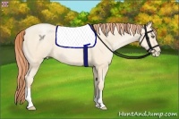 Horse Color:Amber Cream Champagne Pearl 