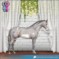 Horse Color:Brown Frame Appaloosa 
