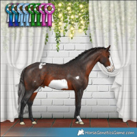Horse Color:Brown Frame Varnish 