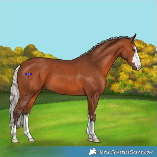 Horse Color:Silver Brown 