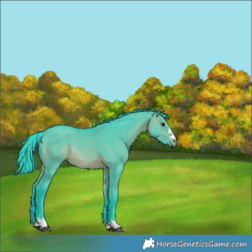 Horse Color:Watercolor Brown Dun Rabicano 
