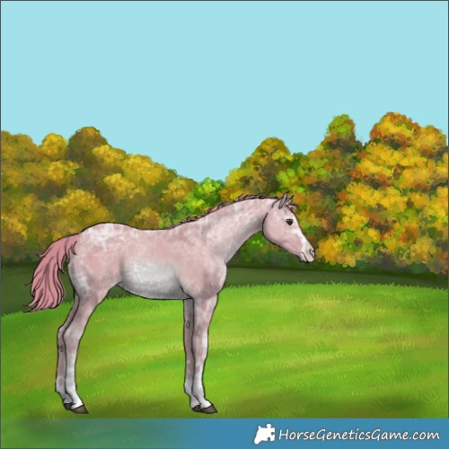 Horse Color:Watercolor Chestnut Ice 