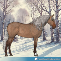 Horse Color:Silver Brown Dun 