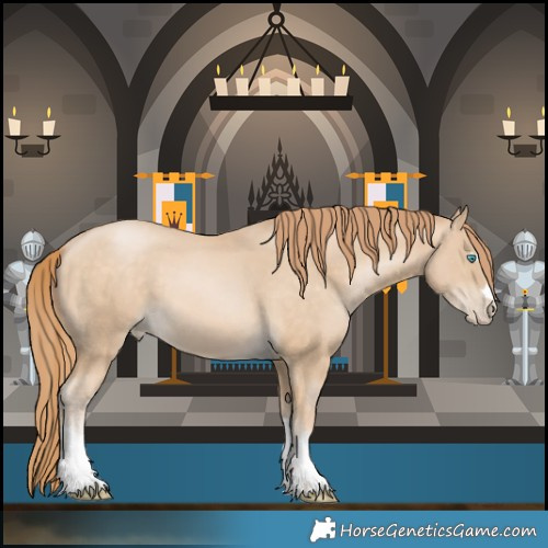 Horse Color:Buckskin Pearl 