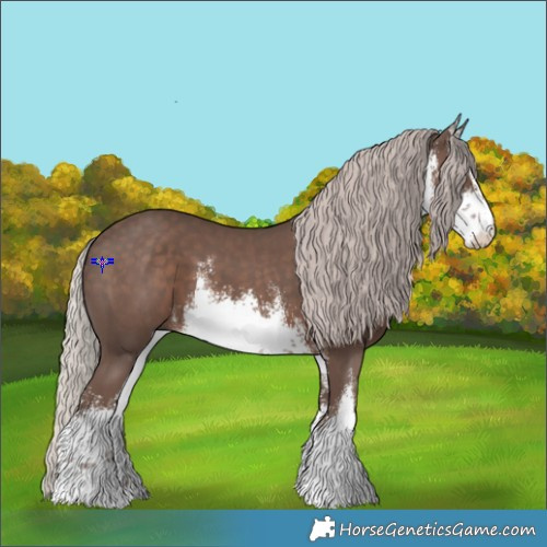 Horse Color:White Spotted Silver Black 