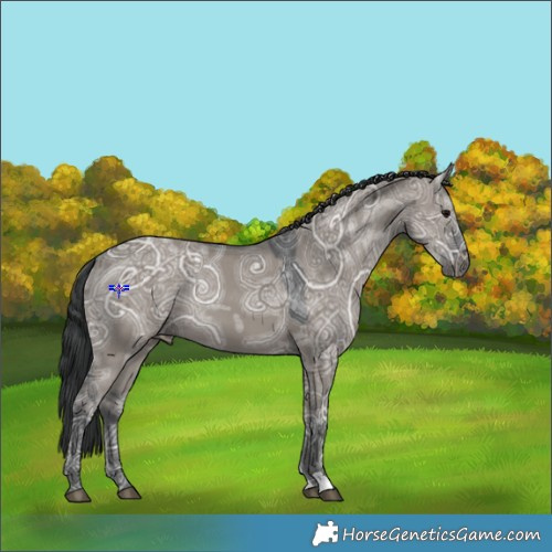 Horse Color:Grullo Ice 