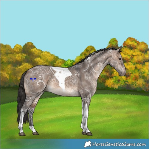 Horse Color:Brown Ice Dun Tobiano 