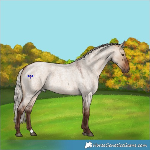 Horse Color:Silver Brown Roan Dun 