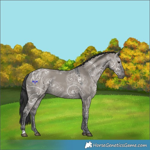 Horse Color:Grullo Ice 